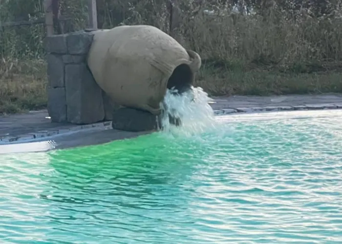 Дом отдыха Liuba Con Piscina E Sauna Искья